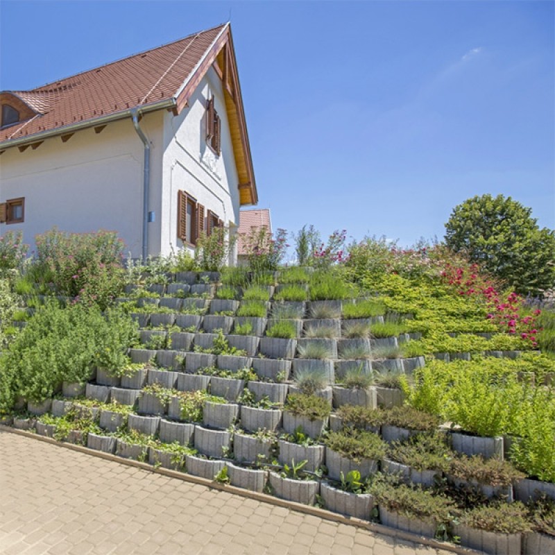 szürke